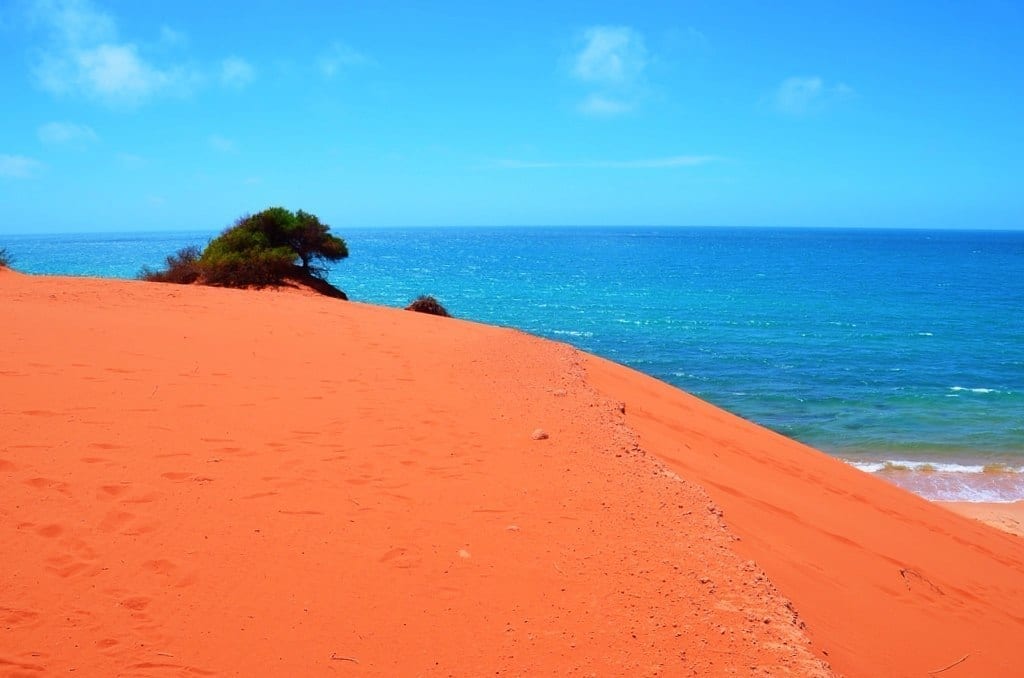 Sharks Bay Western Australia